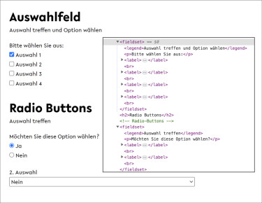 Screenshot Musterformular der Uni Bielefeld mit eingeblendetem Code für Auszeichnung von Radio- und Checkbox-Gruppen