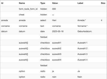 Bearbeiteter Screenshot: Detail-Informationen zur Programmierung eines Formulars via Extension „Web Developer“